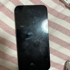 iPhone13 proMAX 256GB