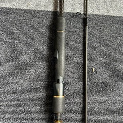 Daiwa morethan BRANZINO 87LML の画像
