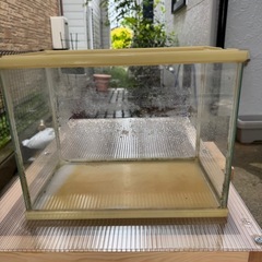 決まりました❗️水槽　30センチ　NISSO