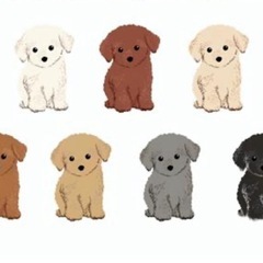 犬友募集❣️