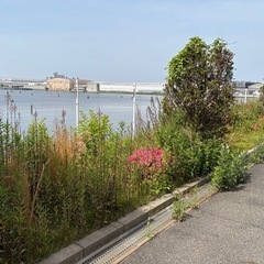 お庭の草刈り❗️お困りではございませんか⁉️お見積り無料☆ - 剪定/造園