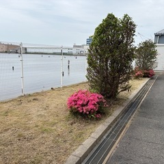 お庭の草刈り❗️お困りではございませんか⁉️お見積り無料☆ − 奈良県