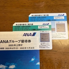 ANA株主優待券 2枚 ➕ 優待券