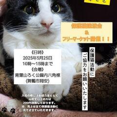 第4回 保護猫譲渡会＆バザー