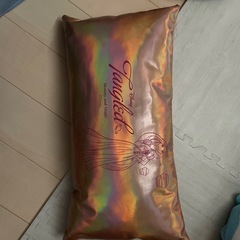 ラプンツェル　ディズニー　抱き枕　クッション！