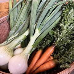 【無添加中心】ガチじゃない'’なんちゃって'’食生活を意識しています