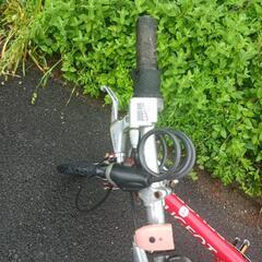 プジョー自転車「コリブリ」の画像