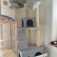 5/26 19時頃可能な方　キャットタワー