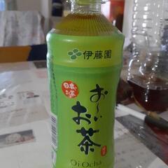 伊藤園　お～いお茶500ml