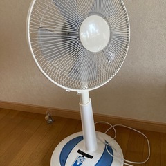 扇風機訳あり品！