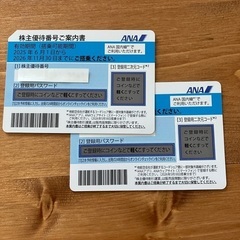 ANA 国内線50%OFF券 2枚　期限2026年11月