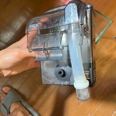 透明なガラス水槽と5wのLEDライトがセット。の画像