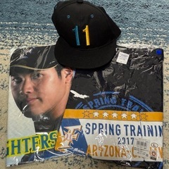 ⭐️新品⭐️日ハム大谷翔平グッズ3点セット