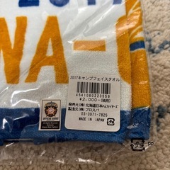 ⭐️新品⭐️日ハム2017アリゾナキャンプタオルの画像