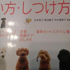 トイプードルの飼い方　しつけ方の画像