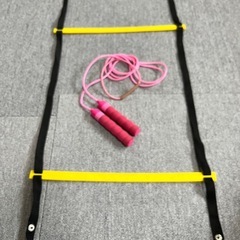 トレーニングラダー
