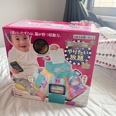 やりたい放題