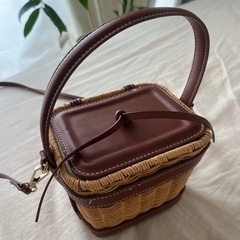 ZARAカゴバック
