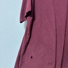 Champion Tシャツ 古着 バーガンディの画像