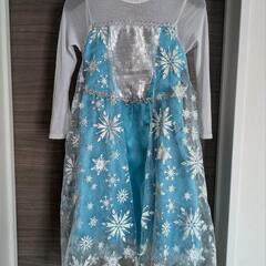 【アナ雪】エルサドレス