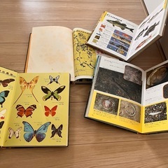 小学館と学研✨図鑑まとめ売り (にゃん¨̮⃝) 大垣の参考書の中古