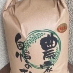 令和6年新潟県産コシヒカリ30kg玄米
