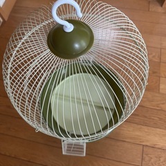 丸い鳥カゴの画像