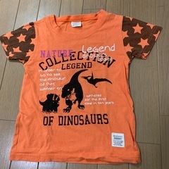 110cm 恐竜イラスト　Tシャツ