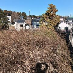 千葉市中央区　貸駐車場　貸地 　346平米　家庭菜園
