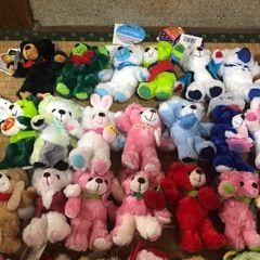 ご当地ベア  60個セット テディベアの画像