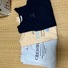 着用回数三回未満　女子150160