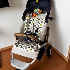 エアバギー　ココプレミア　限定色　