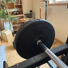 バーベルプレート 10kg×2個　レザイアの画像