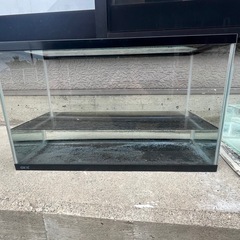 60cm水槽