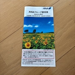 ANAグループ優待券