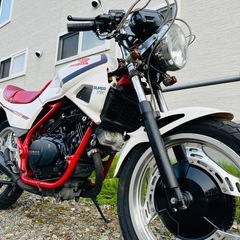 北海道　ホンダ　VT250F 人気のバイク　部品取り　レストアベース