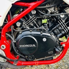 北海道　ホンダ　VT250F 人気のバイク　部品取り　レストアベースの画像