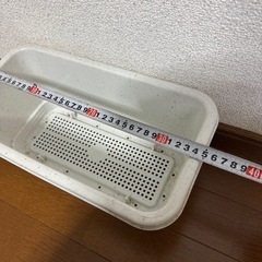 ⑤ プランター　ガーデン　ガーデニング　園芸　家庭菜園の画像