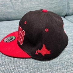 ⭐️新品未使用⭐️北海道キャップの画像