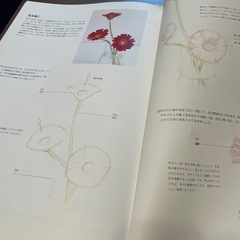 色鉛筆画講座　テキストの画像