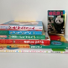 0歳から2歳向け絵本13冊＋カードの画像