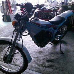 HONDA TLR250R 白/赤 格安提供車 エンジン始動確認 半額配送キャンペーン 期間限定車体価格 現状渡し諸経費￥0- 横浜 P-Yardの画像