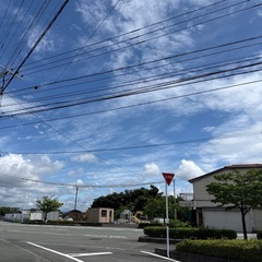 SBI損保自動車保険に入ってる方　友達招待コードを教えてください