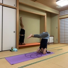 各務原市 ヨガサークル シヴァーシャーラ！本格アシュタンガヨガで...