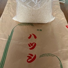 お米5kg 
6年産ハツシモ