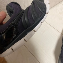 15cm　ナイキ ダイナモフリー の画像