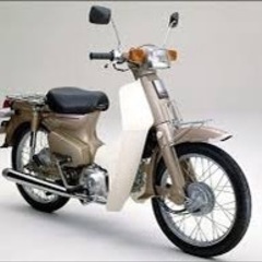 角目カブ探してます！　　角目90 角目50