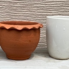 （セット売）鉢