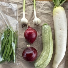 5月25日朝採れ野菜