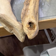 流木　2本　の画像